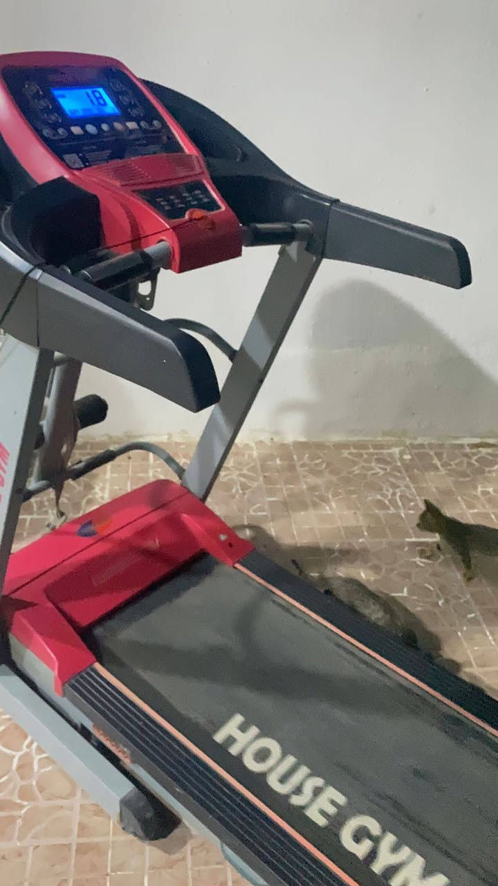 للبيع جهاز ركض منزلي ماركة HOUSE GYM بحالة ممتازة قدرة التحمل ١٥٠ كيلو
المواصفات: يحتوي على جهاز مساج وهزاز ملحق، خاصية رفع ونزول كهربائي (Incline) بـ كبسة زر، شاشة ديجيتال، اوزان ١ كيلو عدد ٢ ، قابل للطي لعدم أخذ مساحة بـ البيت، يحتوي على عجلات لسهولة التحريك

السعر 📍(٣٠٠ الف) وبي مجال بسيط


**إذا كنت صاحب هذا الإعلان وتريد حذفه لأي سبب، رجاءا أرسل رسالة إلى الدعم الفني**