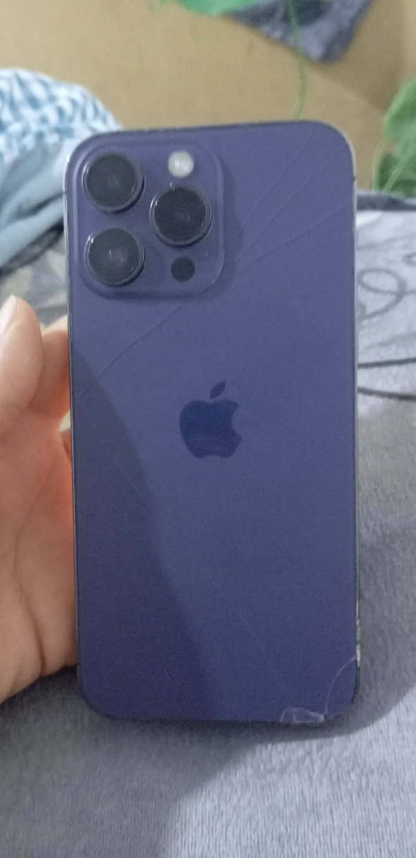 الجهاز 14برو ماكس 
شرق أوسط  
نموذج M
بطاريه+شاشه مبدلات 
بطاريه 100
ضهر مفطور
السعر 650 وبيه مجال

للاستفسار 
***********
