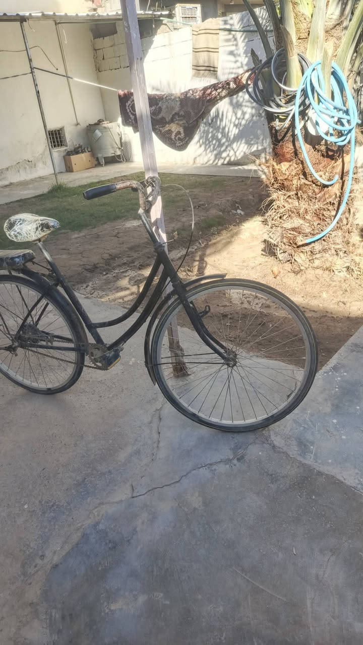 بايسكل للبيع بسعر مناسب


**إذا كنت صاحب هذا الإعلان وتريد حذفه لأي سبب، رجاءا أرسل رسالة إلى الدعم الفني**