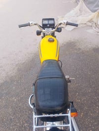 جديده • ٢٠٢٤ • كربلاء