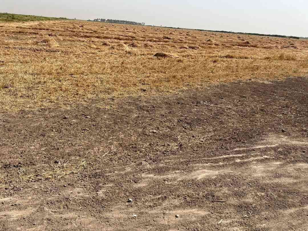 سلام عليكم ارض زراعه 10دونم طابو زراعي سند25طابو تحويل ثاني يوم تربه درجه اولى حصى مائيه ماء اسأله كهرباء مدارس كافت الخدمات تبعد عن الشارع 300متر سعر الدونم الواحد 11مليون وبيهه مجال ال طيبين العنوان قضاء الصويره بدعت حمد ***********\\***********
