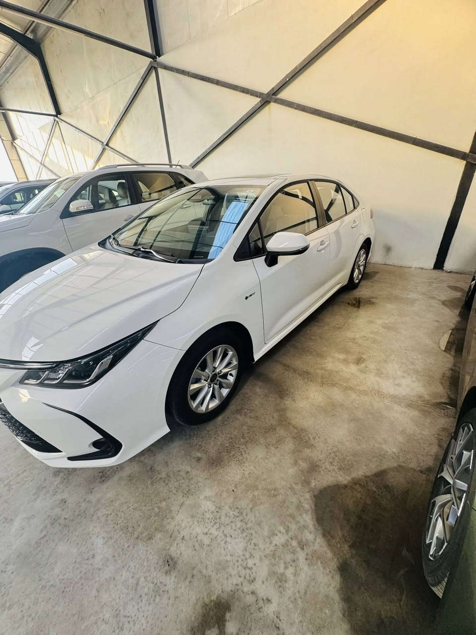 اسلام عليكم للبيع كورلا هايبرد 2025 ماشيه 1450 كيلو  يعني سياره بعدهه زيرو رقم بغداد بسمي تحويل مباشر 
العنوان ديالى جديده الشط 
الشراي يتصل ***********
