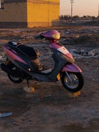 ماكس منغولي • نضيفه • ناصريه الفداء