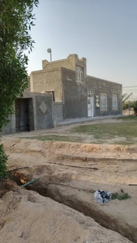 بيت بين كفل نجف • دونم مزروعة • بير ارتوازي