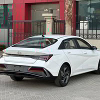 الانترا • ٢٠٢٤ • رقم اربيل