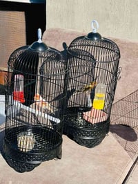 قفص • اسود • ديكور