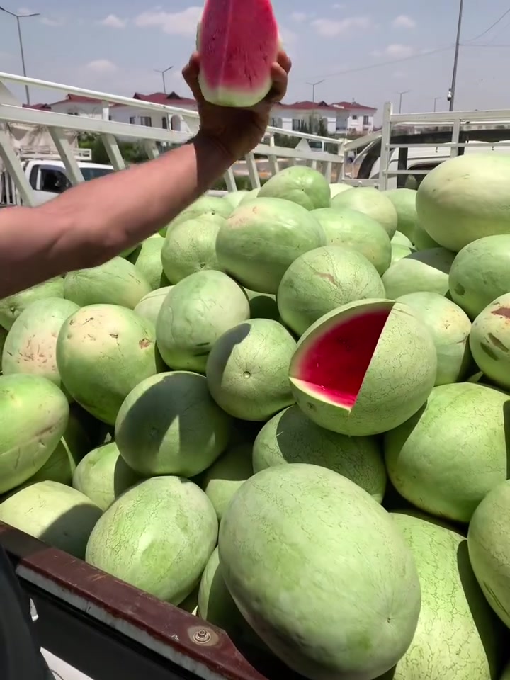 وصل ركي رقم واحد درجه اولى
رقم توصيل ‭***********‬
