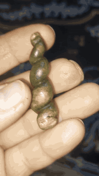 #يا #الله عرك لوي طبيعي 100بل 100  وشفاف ومال زماط  شغل جوكر 🃏 عام  ما...