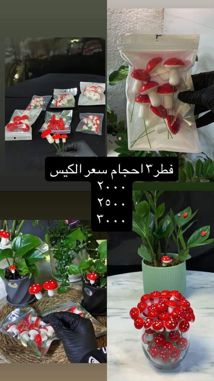 الحلويات وصلت عمي التفاصيل داخل الصور
بابل مسيب شارع الاول 
توصيل داخل مسيب ٢
توصيل محافظات٥٠٠٠
انستكرام.  oscar_shope97


**إذا كنت صاحب هذا الإعلان وتريد حذفه لأي سبب، رجاءا أرسل رسالة إلى الدعم الفني**