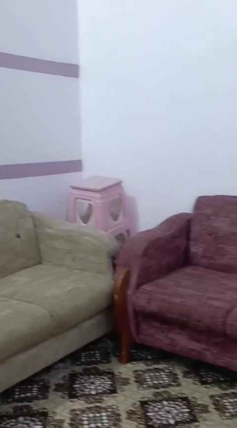ب350


**إذا كنت صاحب هذا الإعلان وتريد حذفه لأي سبب، رجاءا أرسل رسالة إلى الدعم الفني**