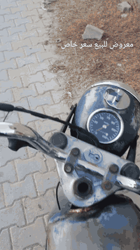 نجف • مديل ٨١ • بدون راعي