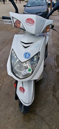 سكنس • ضمان • الشعب