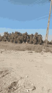 السلام عليكم....للبيع
فالفو وحش اسرائيليه
موديل 2016
كير عادي 
بدي حوظي ذرعه 19م 
رقم اربيل 
المكان واسط/ الدبوني 
***********
