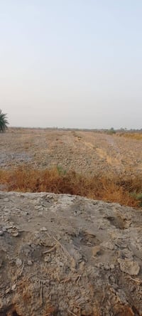 كاع • ٧ دونم • العواد الرعدة