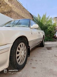 سيزر عضم للبيع التفاصيل 07765957800