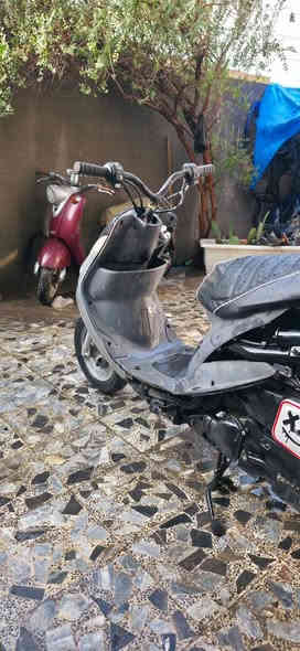 السلام عليكم حبايب ماكس منغولي ابلاد ابدلة بس بستم 
مكاني ميسان مغربة تفاصيل أكثر خاص او اتصال *********** السعر 600 او بية مجال شي بسيط 
أوراق الدراجة كامل او منفيس
