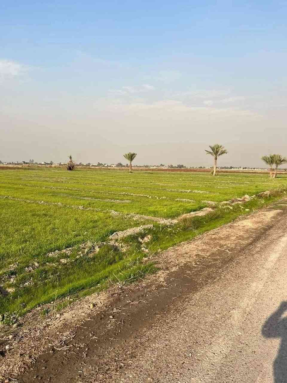🌿 لمحبين الهدوء والراحة – فرصة مميزة بمساحة 2500م
📍 العنوان: بغداد – التاجي، الشيخ عامر العيساوية
📏 المساحة: 10 دونم
⏱️ تبعد عن الكاظمية 30 دقيقة فقط
💰 السعر: 12 مليون فقط
✨ المميزات:
🔹 على التبليط مباشرة
🔹 كاملة الخدمات (ماء + كهرباء)
🔹 منطقة هادئة جداً
🔹 قريبة من السوق ومدراس
🔹 موقع حيوي ومناسب للسكن أو الاستثمار
💡 إمكانية البيع تقطيع (من دونم فما فوق)
📞 للاتصال: ***********
#بغداد #الكاظمية #التاجي #سبع_البور #عقارات #بيع_اراضي #اراضي_للبيع #استثمار #فرصة #مزارع #استراحة #العراق
