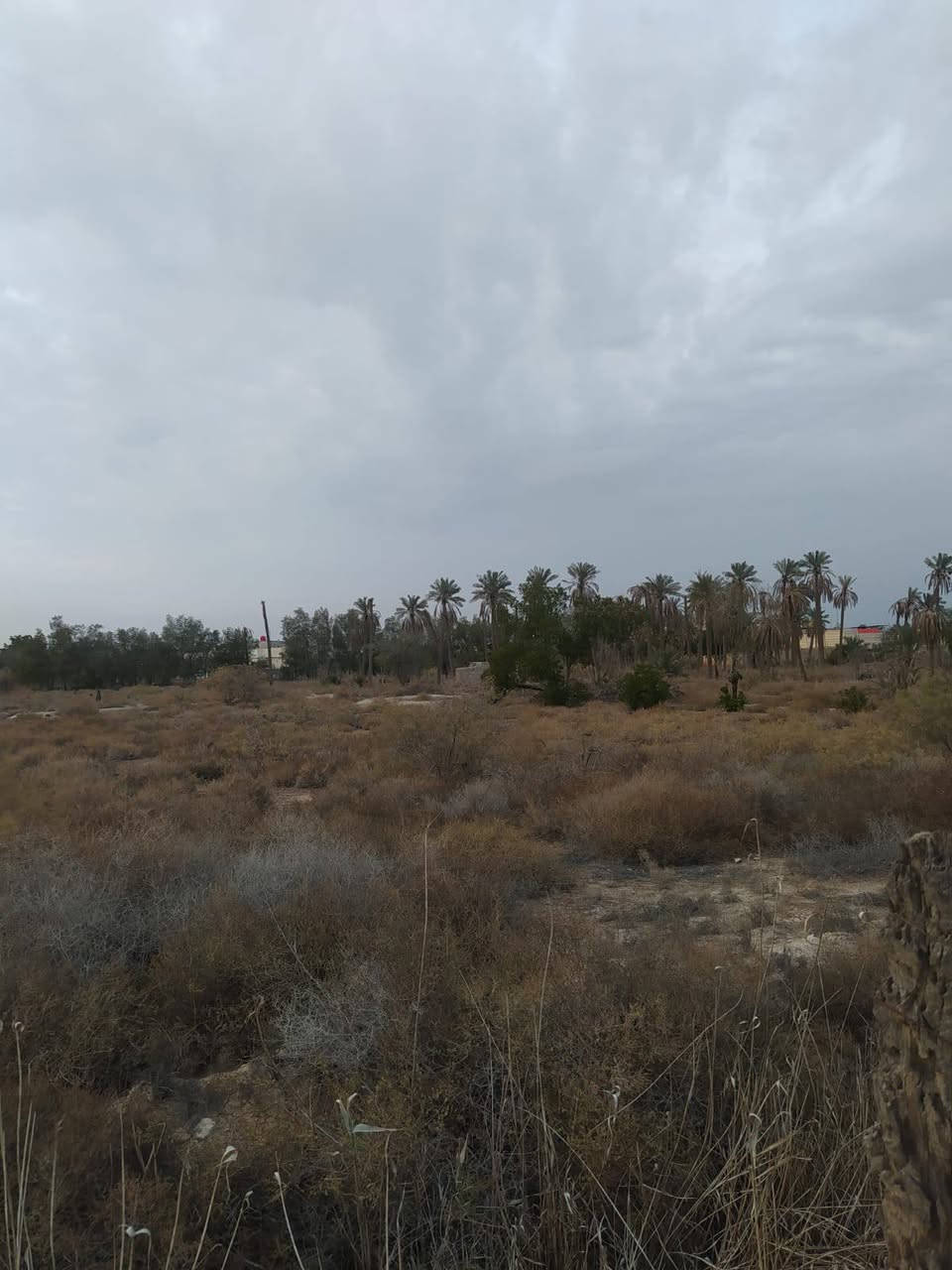 #اسعد_الله_اوقاتكم_بكل_خير⁉️👋

أرض للبيع 

#المساحة::11دونم 

#العنوان:: البصرة أبو الخصيب منطقة حمدان قرب جامع المعاريف 

#جنس_العقار::طابو مالك صرف زراعي تحويل 

شارع 12متر 
جميع الخدمات متوفرة ماء كهرباء مدارس نت كلشي قريب على 
#السعر((دونم الواحد 310مليون))
#اللاستفسار:: إلا تصال على الهاتف ☎️📞 
☎️((***********))☎️
