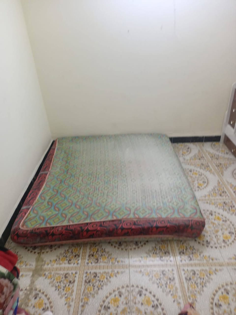 دوشك نفرين للبيع 65 منطقه الري


**إذا كنت صاحب هذا الإعلان وتريد حذفه لأي سبب، رجاءا أرسل رسالة إلى الدعم الفني**