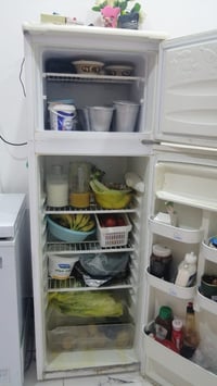 ثلاجه • شرط تجميد • شطره