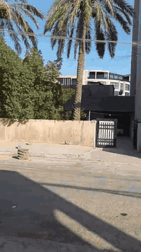 قطعة ارض للبيع ' مساحه’300متر في منطقة حي البنوك / التربية محلة 315 مج...