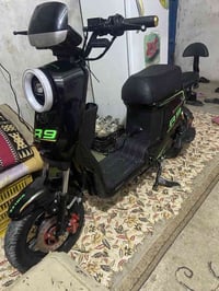 دراجة على الشحن • ٤٠ يوم • قضاء الزبير