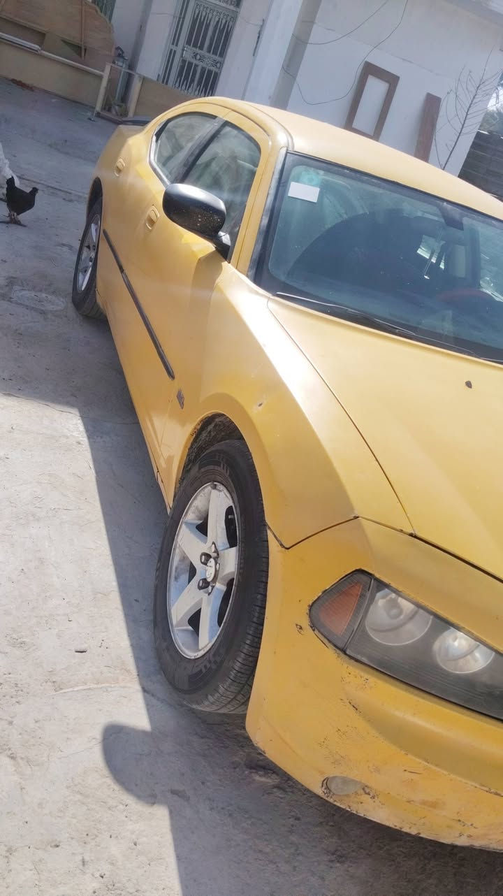 سلام عليكم جارجر 10 لبيع مكانه بابل الهاشميه السعر 82 وبيه مجال سونار مرفق بلمنشور خط
قاسم بغداد 0781 719 8909
