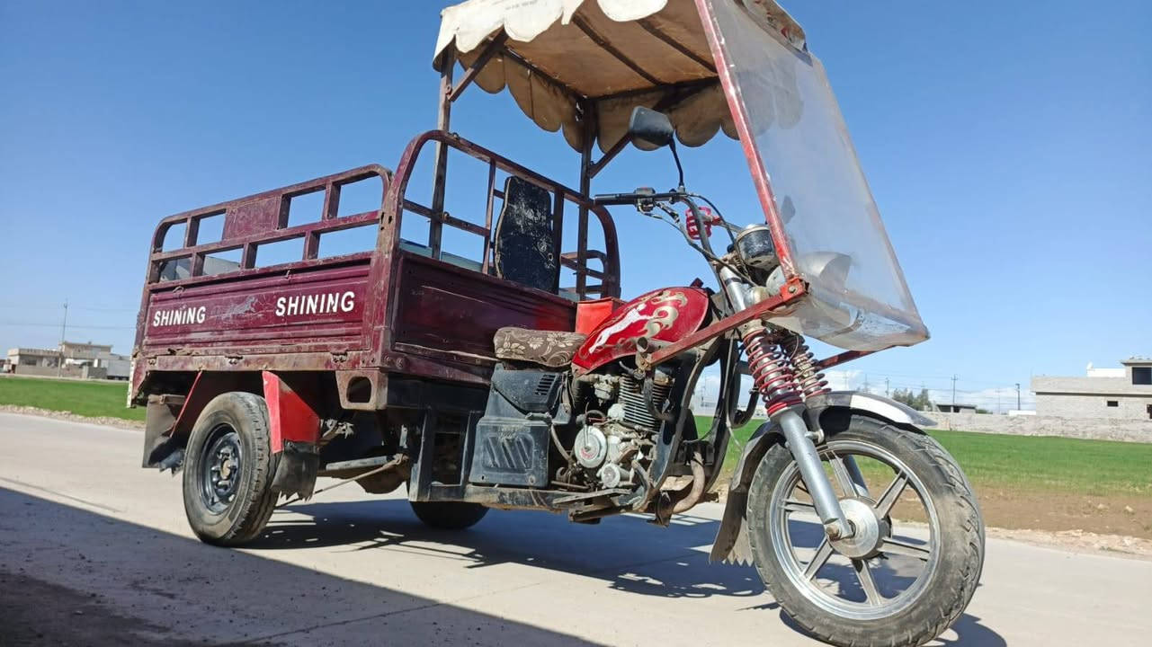 » ستوته للبيع •
*********** او واتساب 
*********** او واتساب 
»  عنوان // موصل ~ برطله • 
#اعلان #الجميع #ستوته_للبيع
