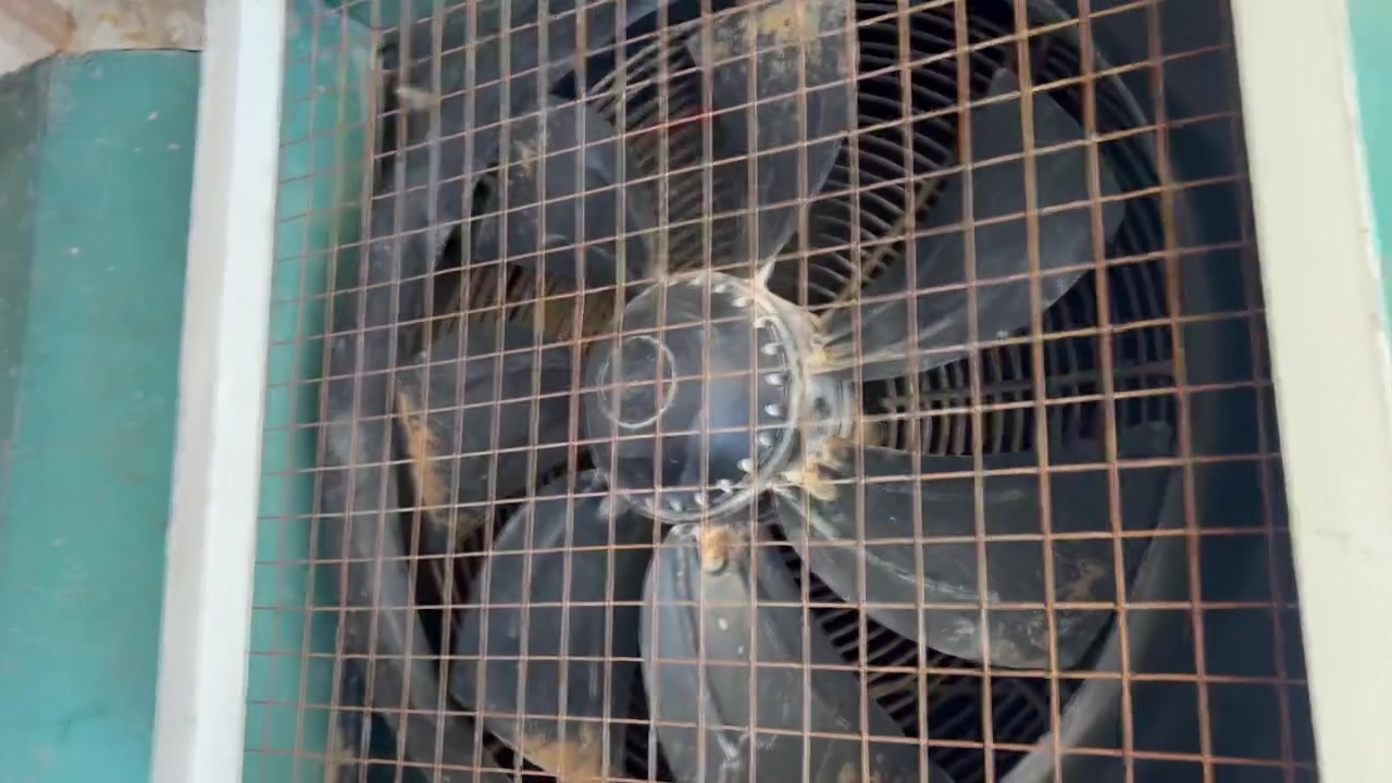 مبرده مستعمله شرط شغاله وتبرد
***********
