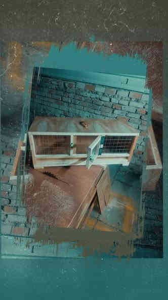 متابعينا♥️ الاصدقاء♥️ الغوالي♥️ كل شيء ♥️يرهم ♥️(جوكر)
يرهم ( نقاله 🕊️حمام )(حاظنه 🐤كتاكيت)( قفص 🕊️فك حمام )
قياس (80*30*30)
سعر(20) ألف 
بغداد مدينه الصدر تقاطع السفاره 
رقم الهاتف ☎️ ***********
