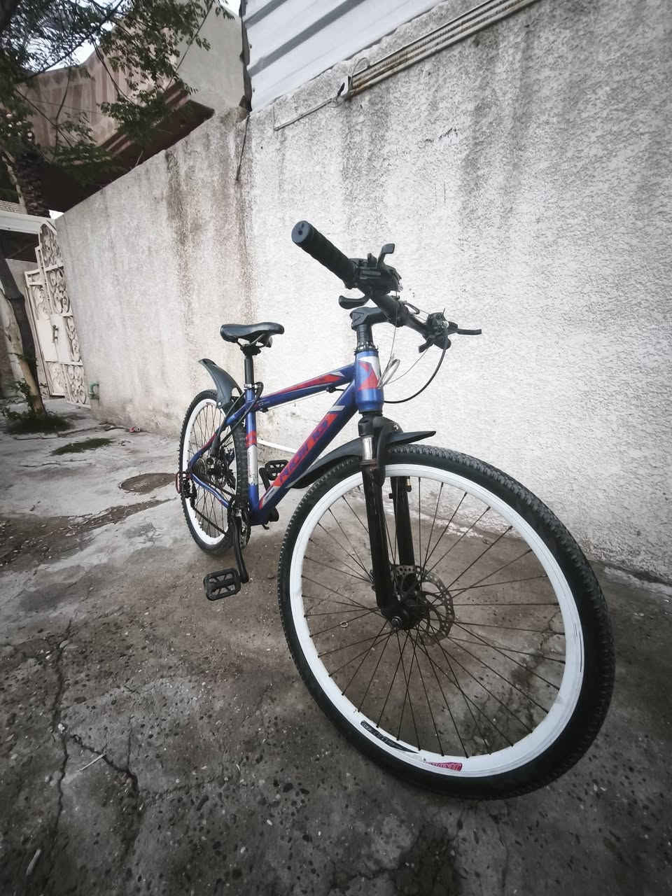 بايسكل قياس 26
نظيف كلش استعمال بيت 
نظافته موضحة بالصور 
بريكات 2 بيه قفل بيه و2 قديمات ويا بايسكل
عكارب 2  
ويدات احتياطية 
الكشف نظيف 
مكان بغداد الدولعي
السعر 80 الف


**إذا كنت صاحب هذا الإعلان وتريد حذفه لأي سبب، رجاءا أرسل رسالة إلى الدعم الفني**