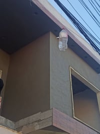 لبخ سمنت مالج كامل/1750/النص مالج/1250/الشربت داخل البيت 500/حالين متف...