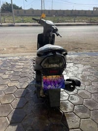 ماكس • سلف وهندل • البصرة