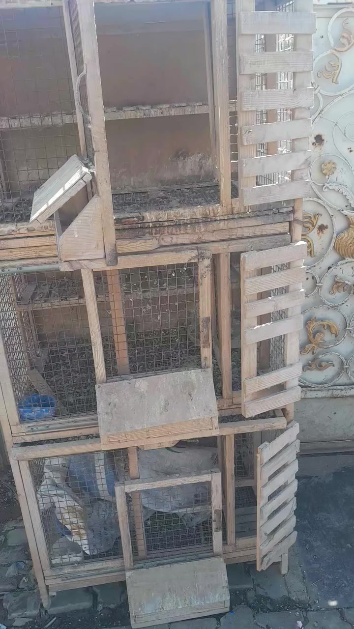 خانات تفصال شغل درجة اولى بيها معلف وبيها مكان طور الماء وبيها جرارات تنضيف ورضية مشبج خانات كلش حلوة فقط يرادلها تنضيف مكاني الحسينية نهاية مسقط قرب سكلة النور ***********
