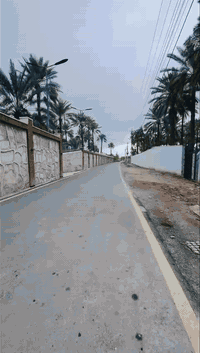 السلام عليكم 10 دونم ملك صرف 
المدائن منطقه الجعاره وجه سده 
مدخلين الهه من شارع العام ومن السده 
واجهه الارض 100متر تحتوي على نخيل وحمضيات 
مسيجه بل كامل 
للاستفسار الاتصال ***********
