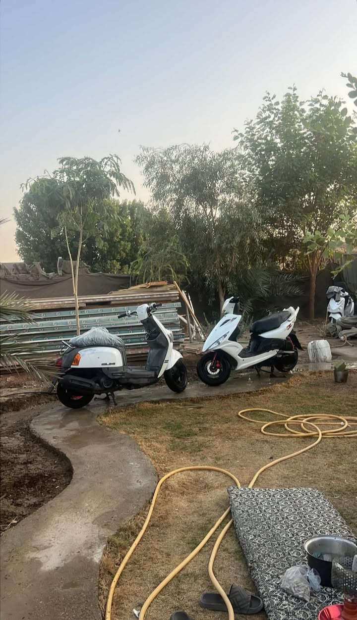 السلام عليكم ماكس بوليس كابريتا للبيع دراجه نضيفه ومكفوله  مثل ماواضح  و ملاح صارخ دراجه ماتطلع مشموره بلبيت وصارله  اقل لشهر نازله من لرمبه سعر ٩٠٠ مكان ديوانيه  *********** اتصل وبيك خير وتدلل @إشارة وذا عدك شي حلو للمراوس نزل ونرهم 👋🏻
