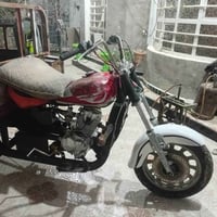 ستوتة • موديل ١٤ • بعكوبة