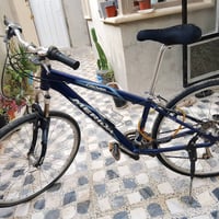 الموصل يمين • ميريدا • أصلي