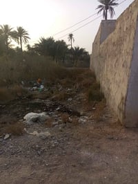 قضاء أطوريج • زراعي • ١٣٠م