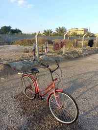 دراجة • شطرة