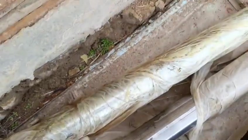 السلام عليكم البيع للاستفسار ***********
