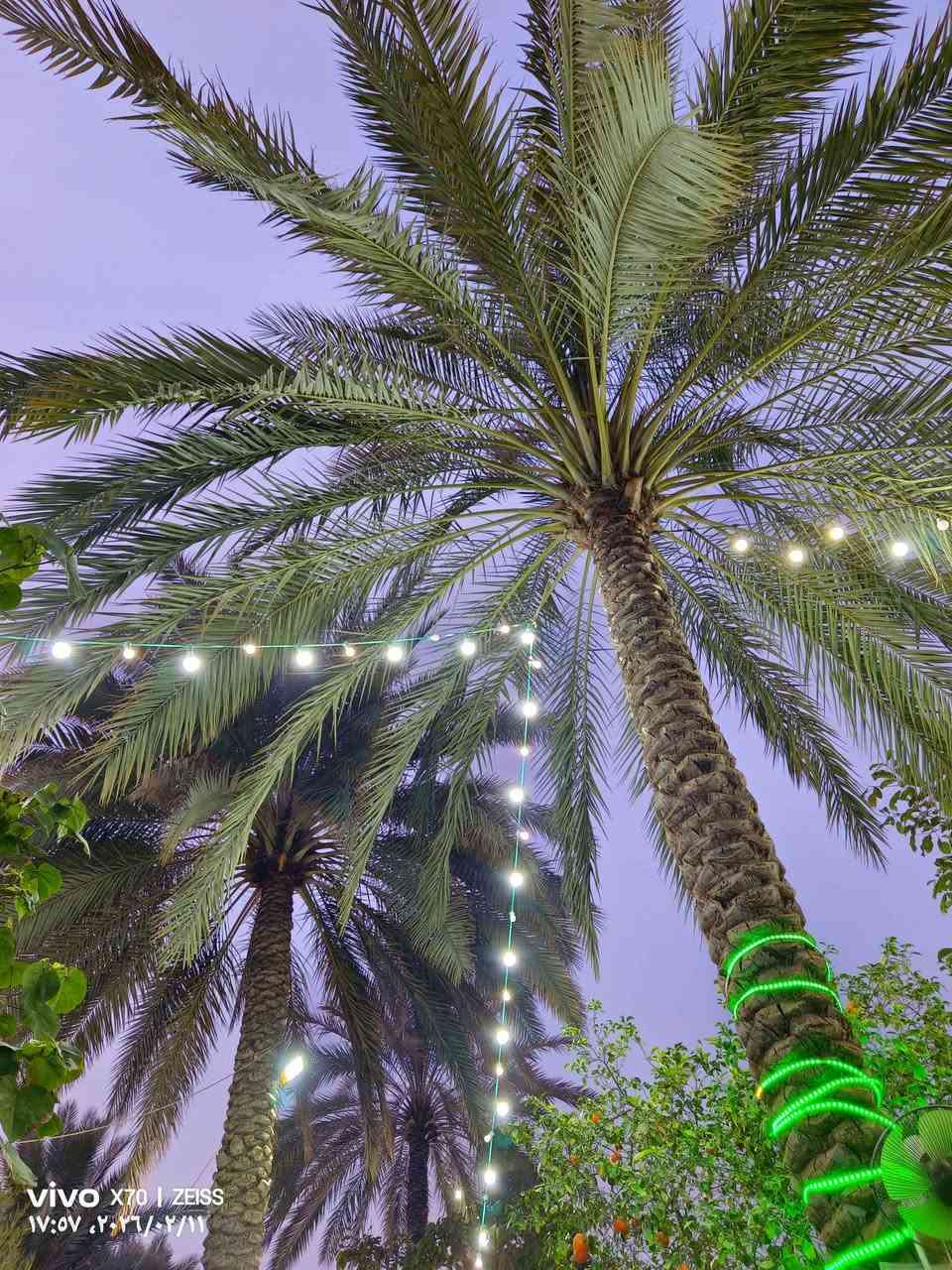 موبايل Vivo X70 5G 
نظافة 💯 % 
ملحقات كاملة أصلية مع بكج هدايا من الشركة كما هو موضح في الصور 

مواصفات الجهاز :

لشاشة  - 120 هرتز Super AMOLED

الذاكرة الداخلية 256 جيجابايت 

الرام أو 12 +8 گيگابايت

الكاميرا 48 + 12 + 12 ميجابكسل

المعالج MediaTek Dimensity 1200 5G

البطارية4400 مللي أمبير - 44 واط

السعر 340
العنوان / البصرة .
لا يوجد توصيل البصرة, العراق


**إذا كنت صاحب هذا الإعلان وتريد حذفه لأي سبب، رجاءا أرسل رسالة إلى الدعم الفني**