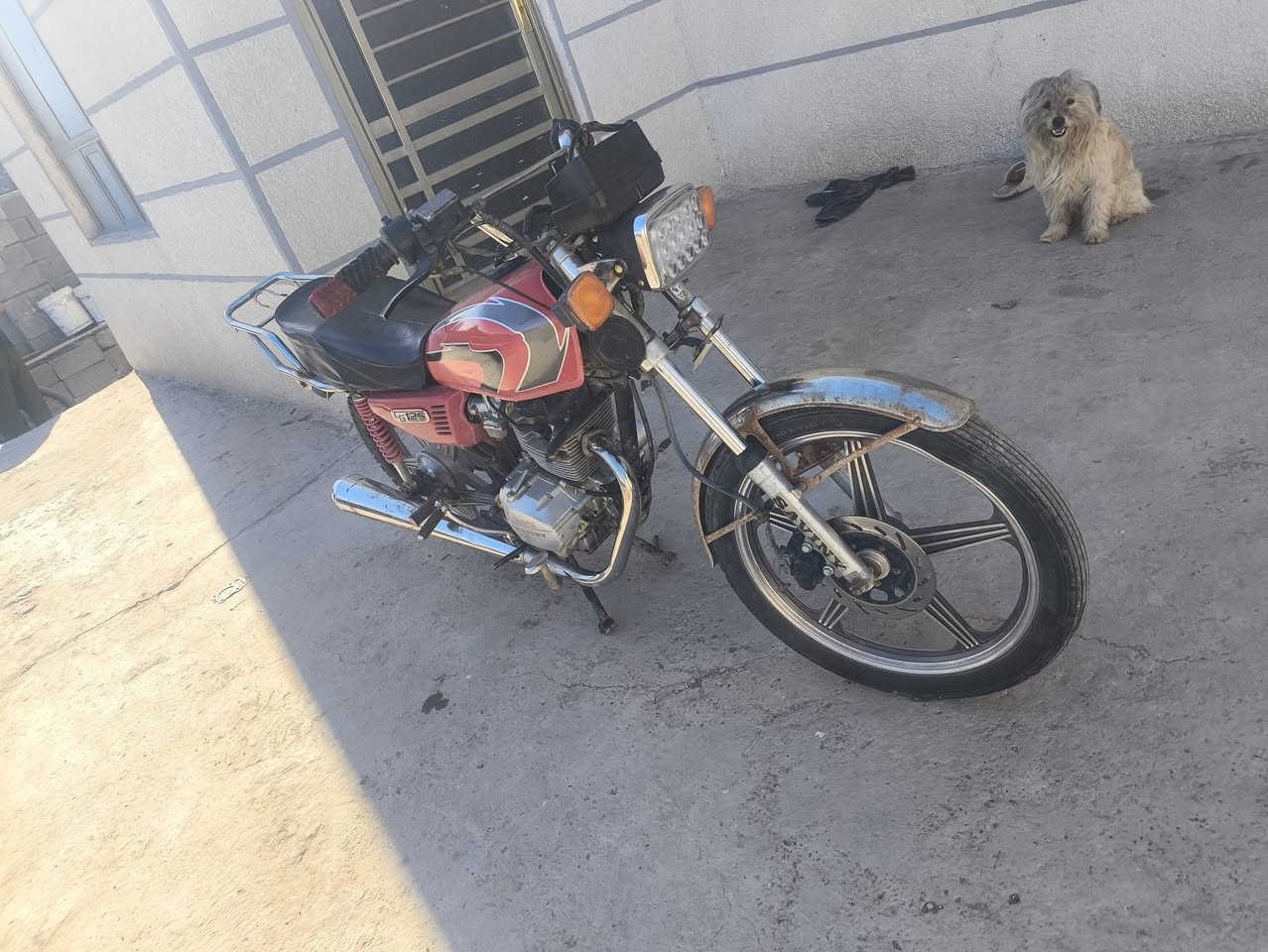 سيفان 5كير مديل 2020 مكينه مكفوله منكلشي شرط لقوه ولنعومه
تفاصيله كهربا شغاله نواقصها بس شخاطت سلف اما لمكينه لانضوح لاتبخير اكفلها منجاملغ لجاملغ سعر 350 مكاني بغداد بشعلة رقمي.***********
