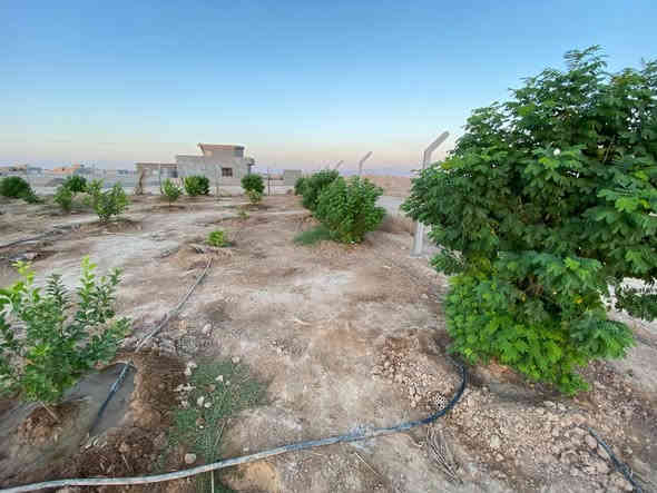 السلام عليكم 
دونم 50×50 شارع 8متر على ثلاث جهات بالقرب من شارع الزيتون في منطقة سكنية للأستفسار الاتصال على الرقم ***********/***********
