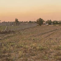 دوانم راقية جدأ الاسعار خيالية سعر الدونم 8 وبيها مجال مليون وبي مجال ...
