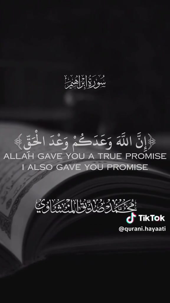 محل حسين أبوعلي  تأجير الكافه المناسبات توصيل مجاني تحميل مجاني غسل المواعين مجاني للحجز والاستفسار اتصل على رقم الهاتف ***********    عروض خاصةلخميس الجمعة ولسبت الأغراض كامل 100 الف
