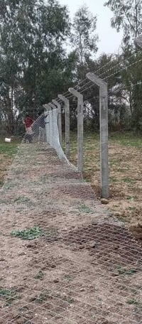 شركه بغداد لعمل ونصب السيجه البيارسي بنواعهه بأسعار تنافسية 0774482110...