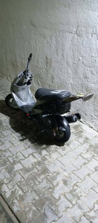 ماكس منغولي • غراض كامل • كلجات رياضي