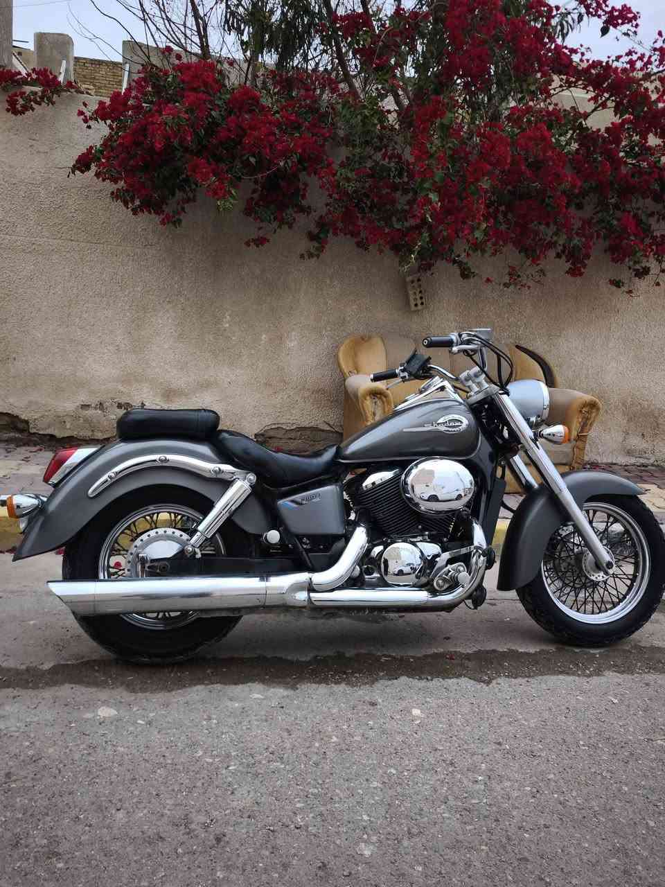 سلام عليكم 
هارلي شادو400 🪬
دراجة مال رمبة مو شارع 
دراجة بلكارتون كلش جديدة 
كفالة عامه كلها تاخذها على الضمان 
+دراجة وياها 3جنط وسيبايه وتجوه هدية ويه لدراجه 
دراجة 3سويجات +صافورة جايه وياها +كتلوك الشركة موجود هم
بلعافية على الياخذها دراجة بحالت لوگالة 
شلعه بطناش الي بالك تاحذها اذا مدك 160ترجعها موجود مقطع للمعدل مالتها 
دراجة ما مرقمة فقط وصل لمعرض ومنفيست
مكان ((بغداد الحسينيه))((سعر 15ورقه)) 
((***********)) تفاصيل خاص او اتصل واني بخدمت الجميع
