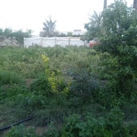 ١ دونم • مع دار • خدمات كامله